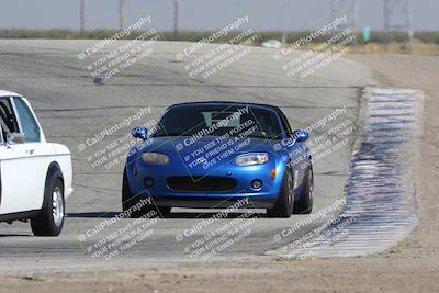 media/Oct-21-2023-Speed Ventures (Sat) [[ddf75163c5]]/Yellow/Grapevine/